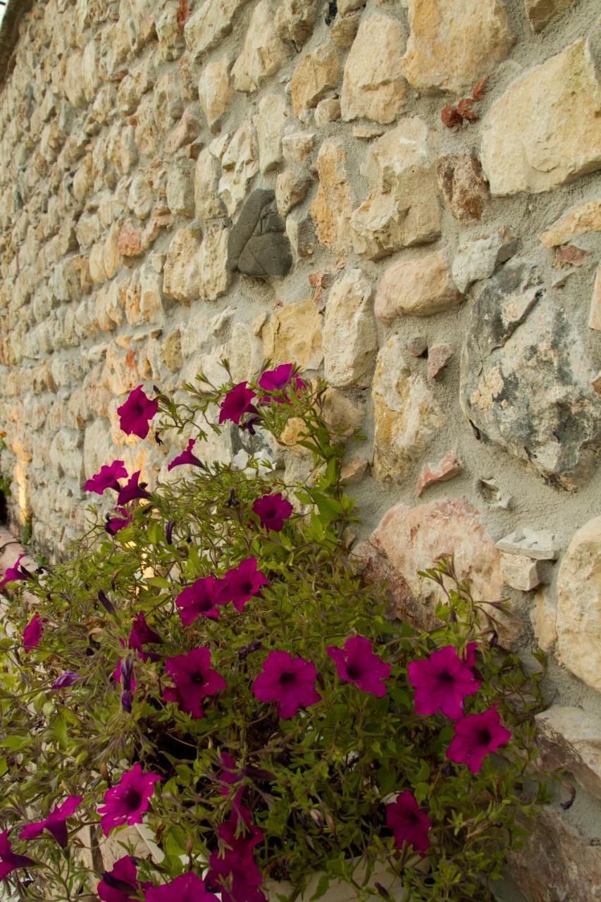 Villa Di Cazzano - Bioluxury Living Soave  Ngoại thất bức ảnh